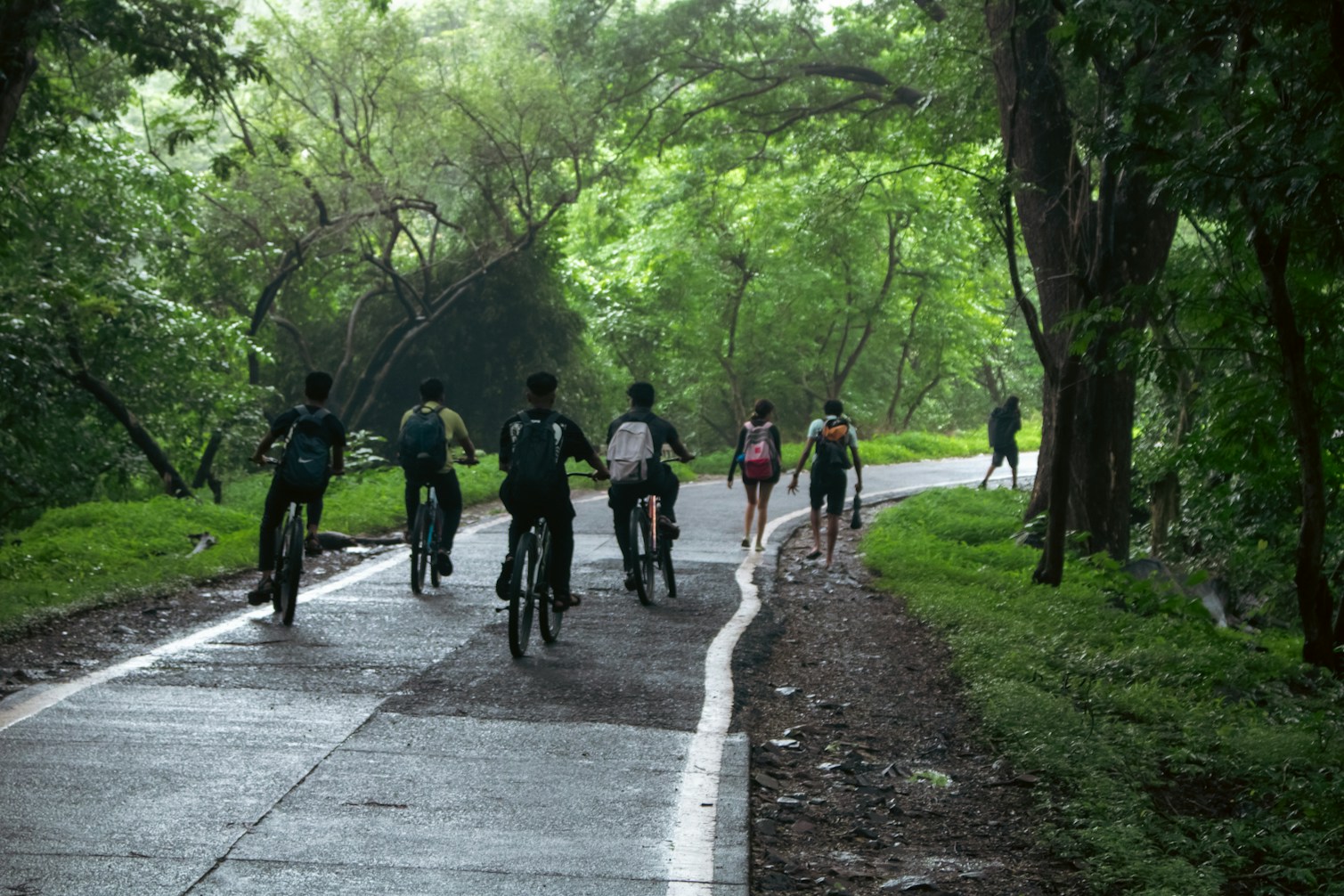 Hvar Bike Adventure gallery photo 4