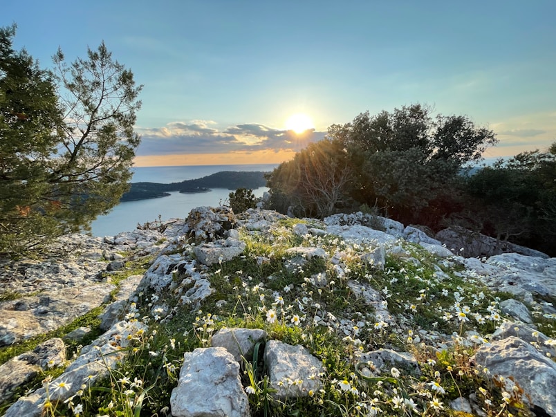 Mljet Island Ride